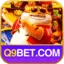 Q9bet Logo